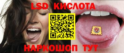 бошки Кимры
