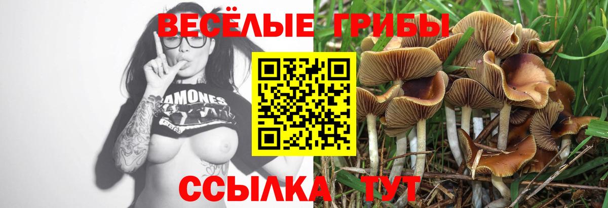 Галлюциногенные грибы GOLDEN TEACHER  Вход с VPN  Элиста 